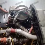 Cat delete kit