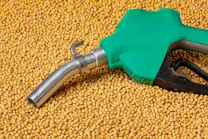 Diesel Engine Powered by Vegetable Oil: an advantage and Sustainable fuel Alternative for the future!
