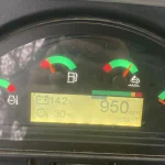 Cat-DPF deaktivieren, Codes löschen