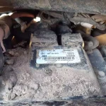 cat dpf ausschalten 482-8391