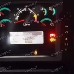 borrar códigos DPF Caterpillar